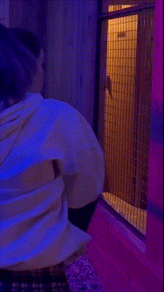 a woman wearing a playboy hoodie is sitting in front of a blue light .