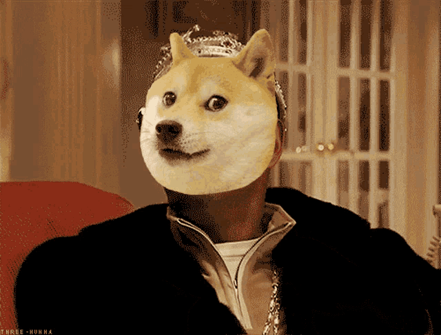 a dog with a crown on its head is wearing a black jacket