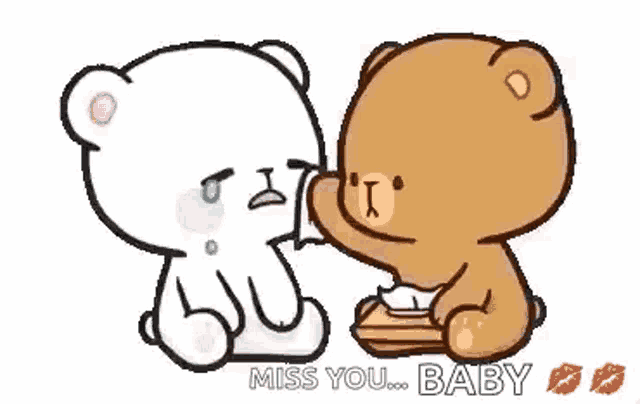 a couple of teddy bears are sitting next to each other on a white background .