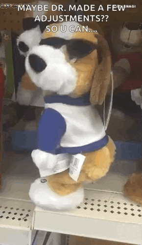 a stuffed dog wearing sunglasses and a blue shirt is on a shelf in a store .
