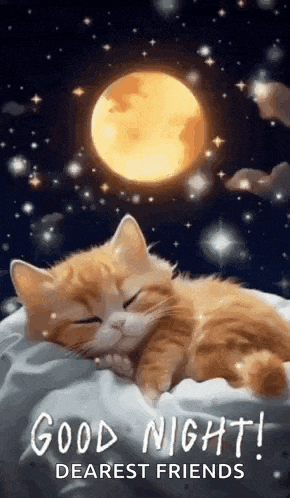a cat is sleeping on a bed with the moon in the background .