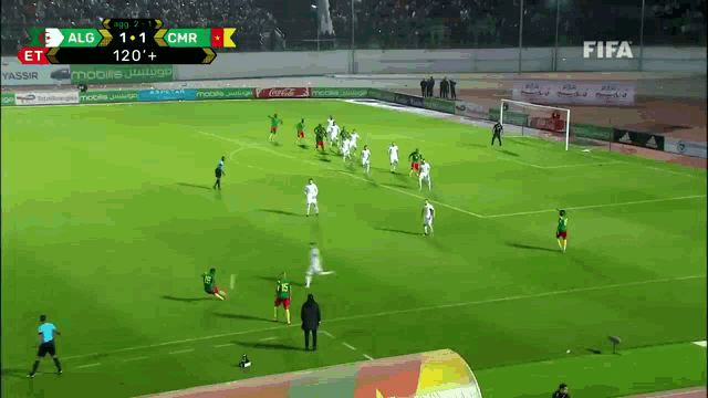 Algeria Cameroon GIF - Algeria Cameroon Algerie GIFs