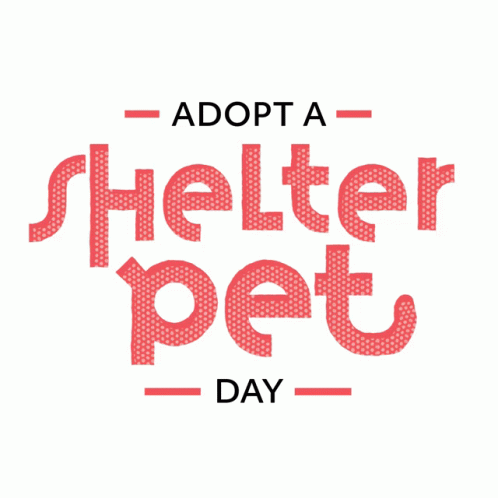 Adopt A Shelter Pet Shelter Pets GIF - Adopt A Shelter Pet Shelter Pets Pets GIFs