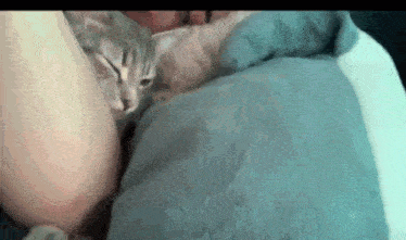 a person is laying on a bed with a cat on their chest .