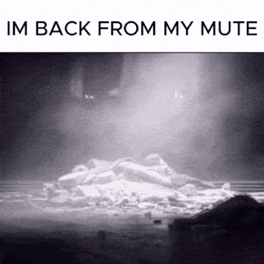 a black and white photo with the words im back from my mute on the bottom