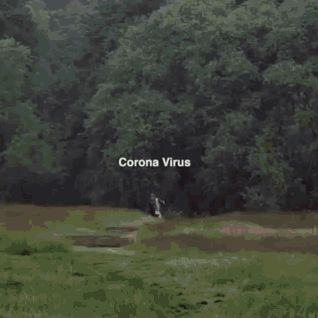 Monty Python Coronavirus GIF - Monty Python Coronavirus Pandemic GIFs