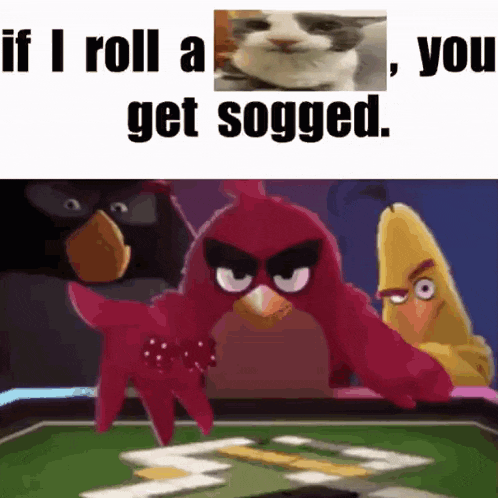 angry birds are playing a game with a cat in the background