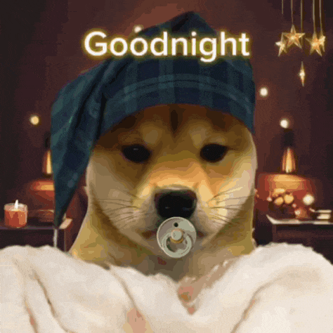 a dog with a pacifier in its mouth is wearing a hat and says goodnight