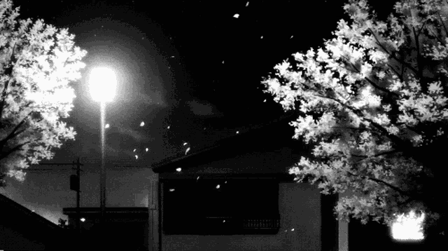 a black and white photo of a street light and a tree