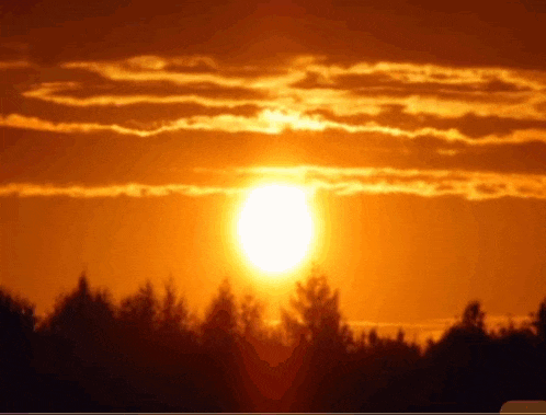 the sun is setting behind the trees and the sky is orange