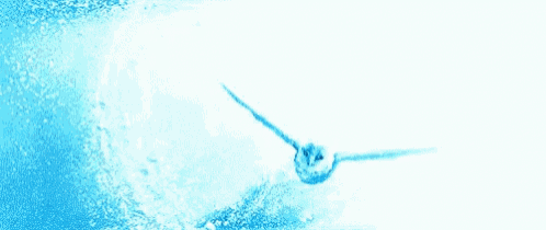a bird is flying through the air with a lightning bolt behind it .