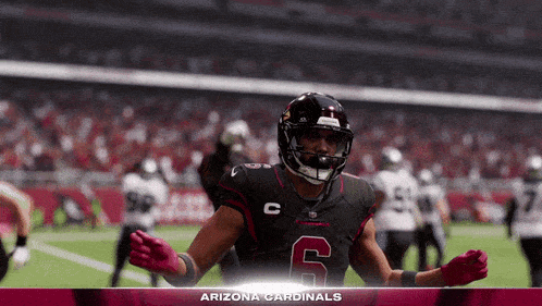 a football player for the arizona cardinals is celebrating