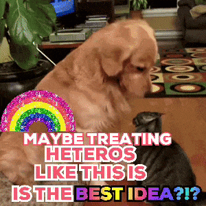 a dog with a rainbow on its back says maybe treating heteros like this is the best idea ?