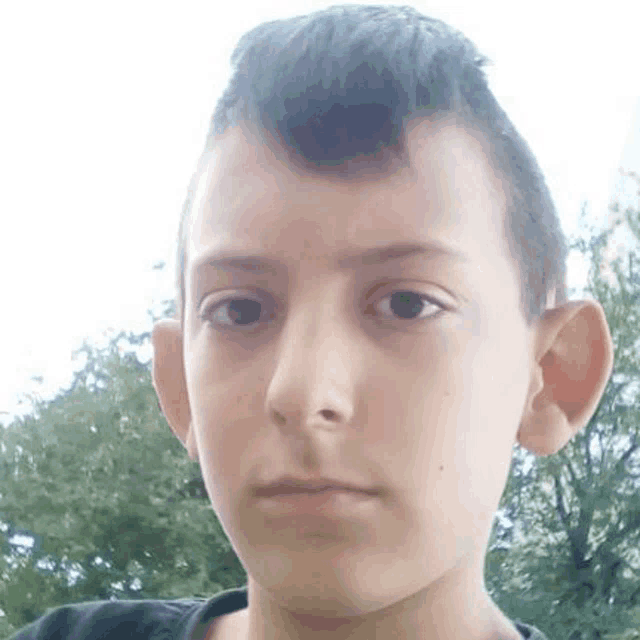 a young boy with a mohawk is taking a selfie with trees in the background .