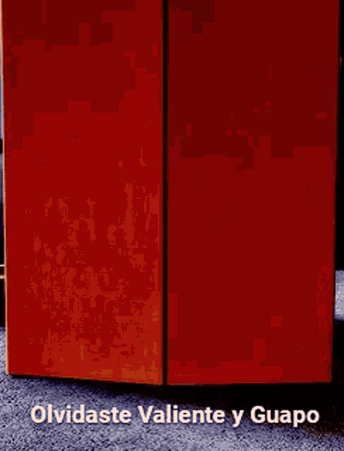 a red door with the words " olvidaste valiente y guapo " written on it