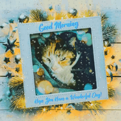 a picture of a cat with the words good morning hope you have a wonderful day on it