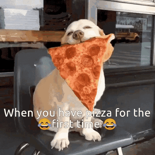 Pizza For The First Time Yahir14 GIF - Pizza For The First Time Yahir14 Pizza GIFs