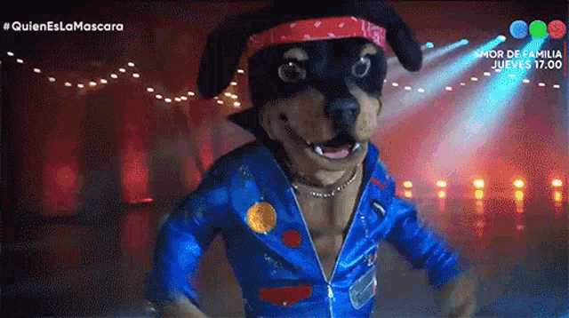 a dog is dressed in a blue jacket and a bandana