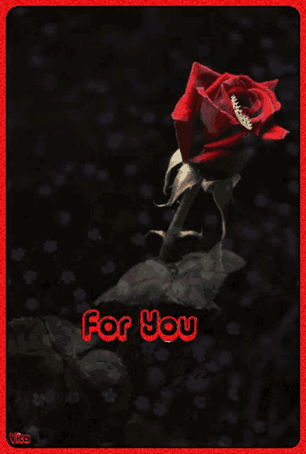 a red rose is on a black background with the words for you
