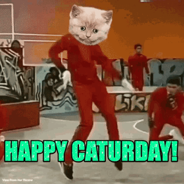 Caturday Happy Caturday GIF - Caturday Happy Caturday Cat GIFs