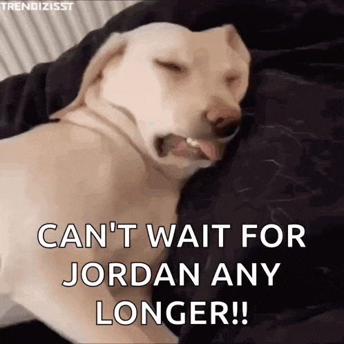 a dog is laying on a bed with its tongue hanging out and says " can 't wait for jordan any longer "