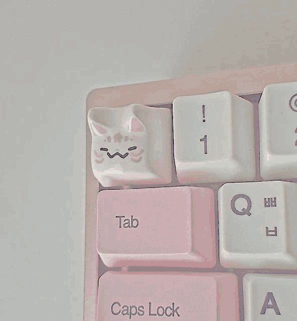 a close up of a keyboard with a cat face on the tab key