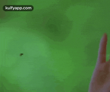 a close up of a person 's hand reaching out towards a bug .