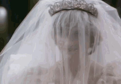 Princess Diana Wedding GIF - Princess Diana Wedding Wedding Dress GIFs