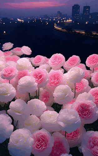a bunch of pink and white flowers in front of a city skyline