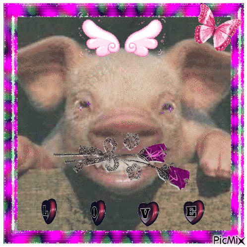 a picture of a pig with pink wings and a flower in its mouth has the word love on it