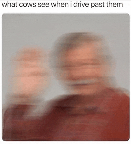 a blurry picture of a man with the caption `` what cows see when i drive past them ''