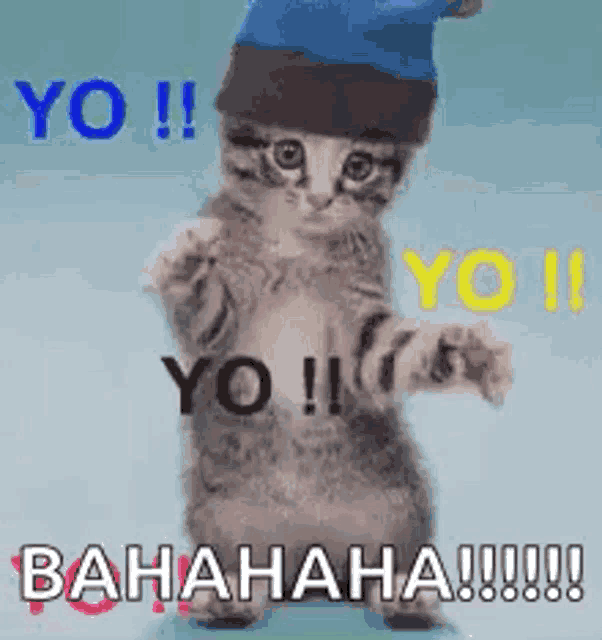 a kitten wearing a hat is standing on its hind legs and laughing .