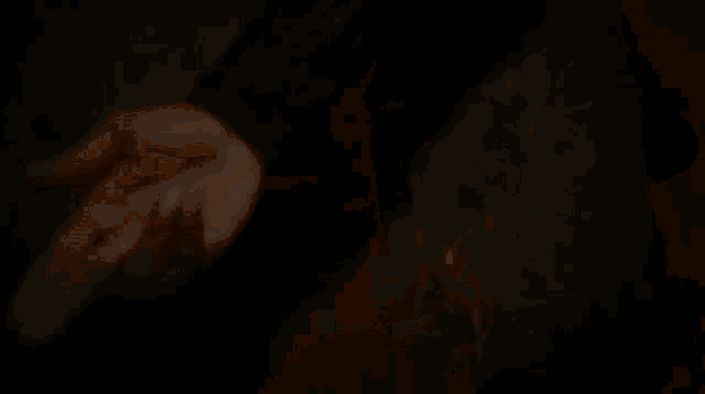 a blurry picture of a person holding another person 's hand in a dark room