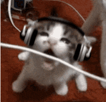 a cat wearing headphones is standing next to a cable .
