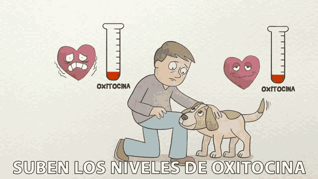 Suben Los Niveles De Oxitocina Apego GIF - Suben Los Niveles De Oxitocina Apego Amor GIFs