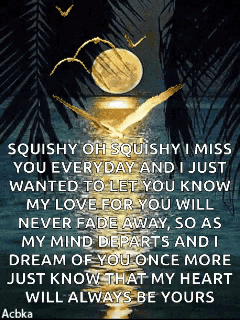 a picture of a sunset with a quote that says " squishy oh squishy i miss you everyday "