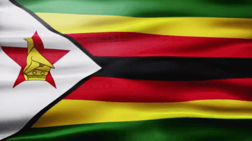 Zimbabwe Flag Gif GIF - Zimbabwe Flag Gif Africa GIFs