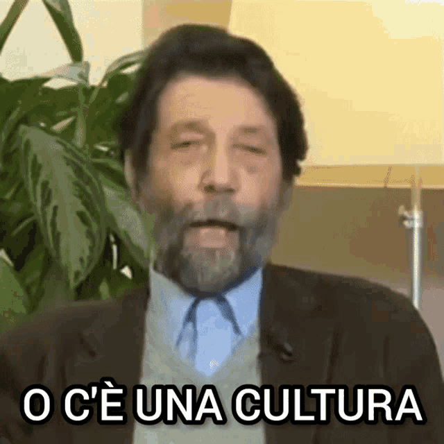 Massimo Cacciari Cultura GIF - Massimo Cacciari Cultura Culture GIFs