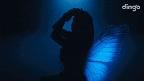 a silhouette of a woman with blue butterfly wings and the word dingo in the corner