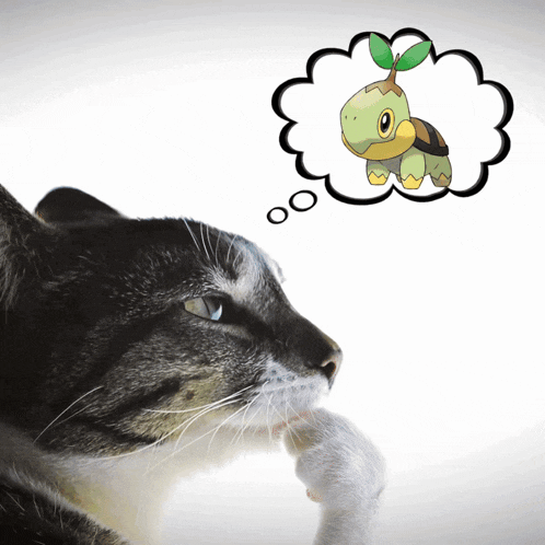 a cat is looking at a thought bubble with a picture of a turtle in it