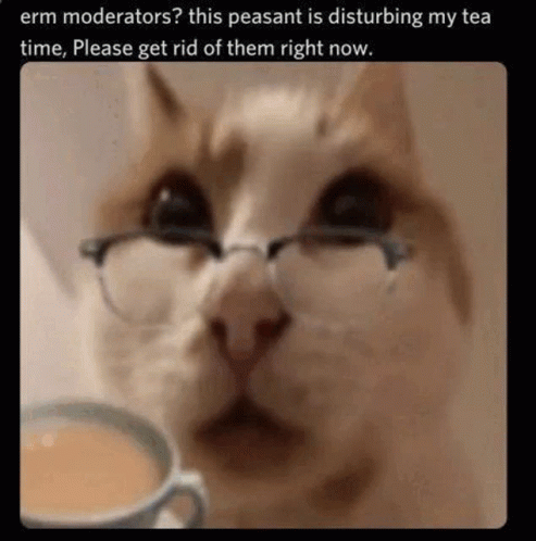 Moderators Cat GIF - Moderators Cat GIFs