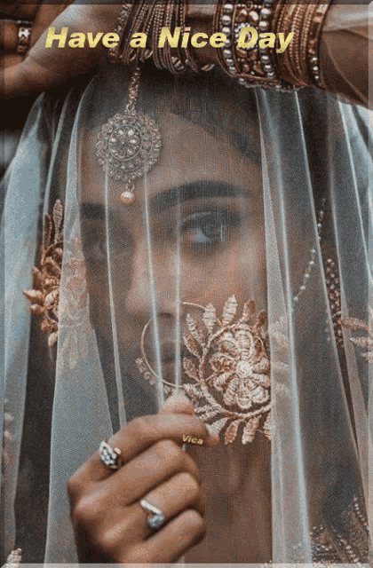 a woman covering her face with a veil with the words have a nice day above her