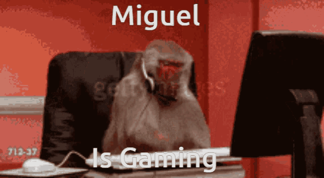 Miguel Gaming GIF - Miguel Gaming Monkey GIFs