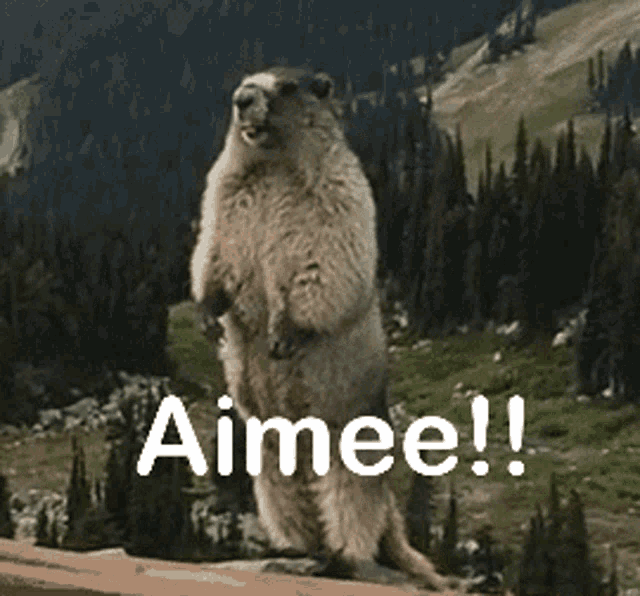Yell Aimee GIF - Yell Aimee Gopher GIFs