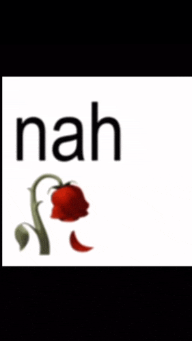 a poster that says bruh ts not even you yotwin