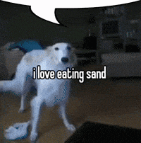 a white dog says i love eating sand in a speech bubble