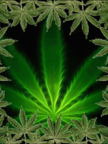 Love Wow GIF - Love Wow Marijuana Leaves GIFs