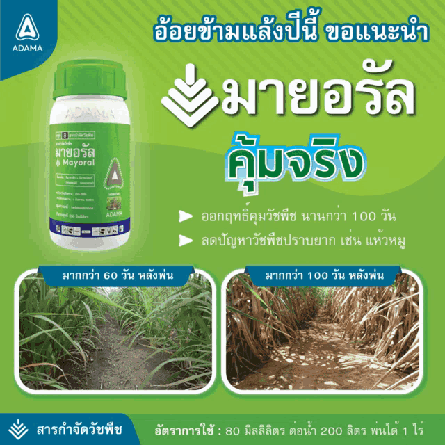 a bottle of adama mayoral is shown on a green poster