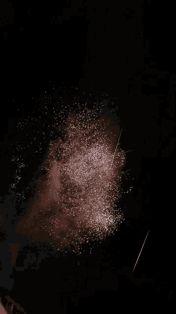 a fireworks display is going off in the dark