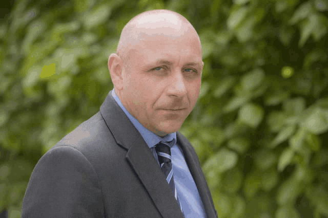 a bald man in a suit and tie stands in front of a green bush